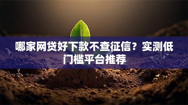 哪家网贷好下款不查征信？实测低门槛平台推荐
