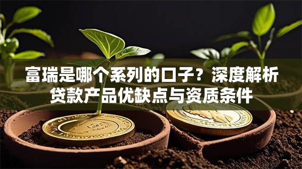 富瑞是哪个系列的口子？深度解析贷款产品优缺点与资质条件