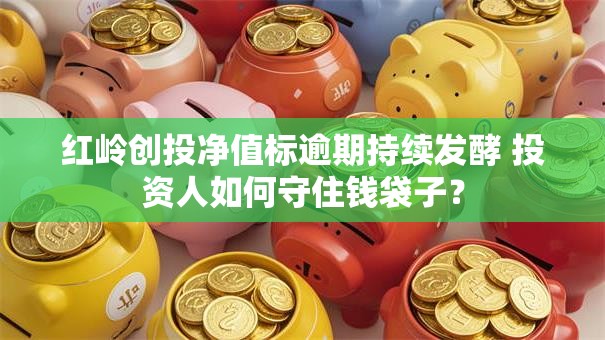 红岭创投净值标逾期持续发酵 投资人如何守住钱袋子? 红岭创投净值标逾期持续发酵 投资人如何守住钱袋子?