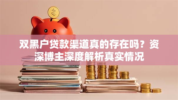 双黑户贷款渠道真的存在吗？资深博主深度解析真实情况