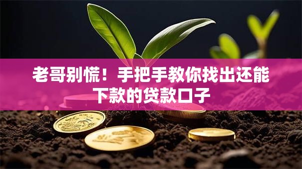 老哥别慌！手把手教你找出还能下款的贷款口子