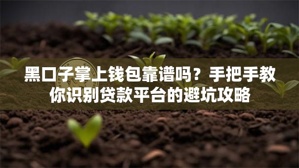 黑口子掌上钱包靠谱吗？手把手教你识别贷款平台的避坑攻略