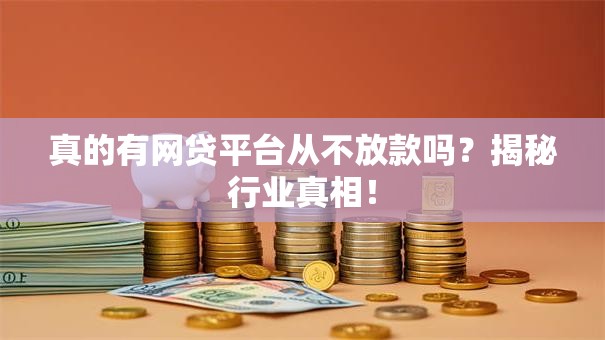 真的有网贷平台从不放款吗?揭秘行业真相! 真的有网贷平台从不放款吗?揭秘行业真相!