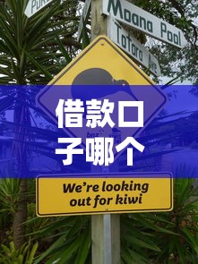 借款口子哪个不上征信?这几种方式真的靠谱吗 借款口子哪个不上征信?这几种方式真的靠谱吗