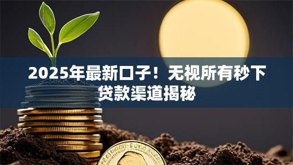2025年最新口子！无视所有秒下贷款渠道揭秘