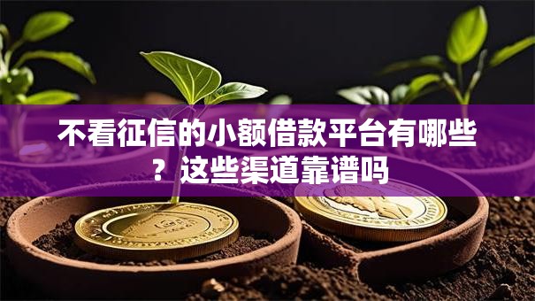 不看征信的小额借款平台有哪些？这些渠道靠谱吗