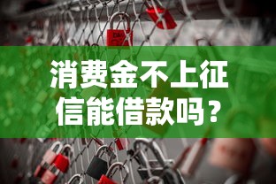 消费金不上征信能借款吗？这些渠道和风险你得知道