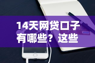 14天网贷口子有哪些？这些平台值得一试