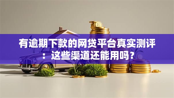 有逾期下款的网贷平台真实测评:这些渠道还能用吗? 有逾期下款的网贷平台真实测评:这些渠道还能用吗?