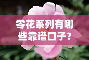 零花系列有哪些靠谱口子?这些低门槛贷款渠道值得试试 零花系列有哪些靠谱口子?这些低门槛贷款渠道值得试试
