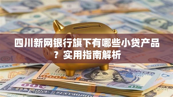 四川新网银行旗下有哪些小贷产品？实用指南解析