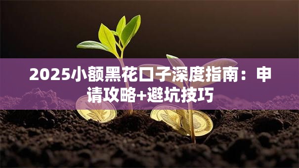 2025小额黑花口子深度指南:申请攻略+避坑技巧 2025小额黑花口子深度指南:申请攻略+避坑技巧
