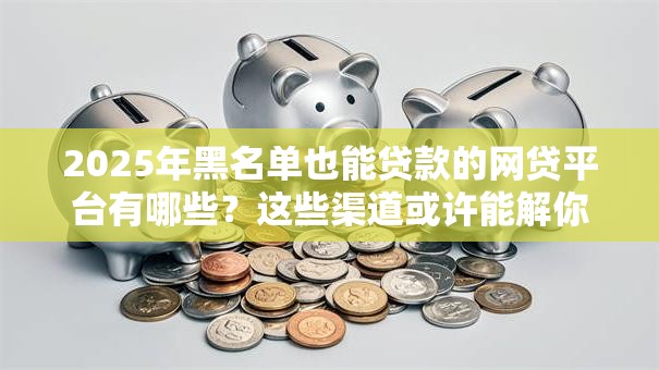 2025年黑名单也能贷款的网贷平台有哪些？这些渠道或许能解你燃眉之急