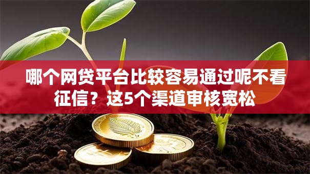 哪个网贷平台比较容易通过呢不看征信？这5个渠道审核宽松