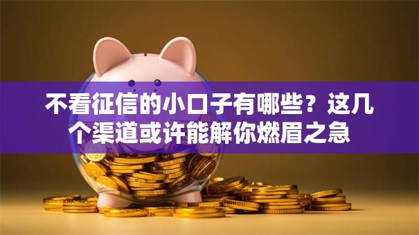 不看征信的小口子有哪些？这几个渠道或许能解你燃眉之急