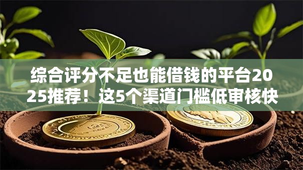 综合评分不足也能借钱的平台2025推荐！这5个渠道门槛低审核快