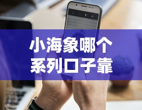 小海象哪个系列口子靠谱?真实用户评测+避坑指南分享 小海象哪个系列口子靠谱?真实用户评测+避坑指南分享
