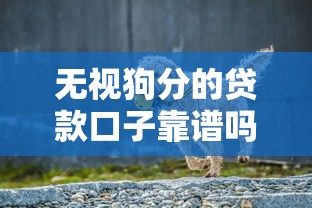 无视狗分的贷款口子靠谱吗？这些避坑指南必须收藏！