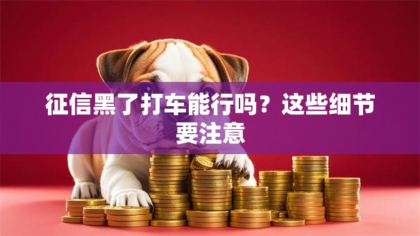 征信黑了打车能行吗?这些细节要注意 征信黑了打车能行吗?这些细节要注意