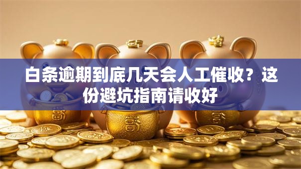 白条逾期到底几天会人工催收？这份避坑指南请收好