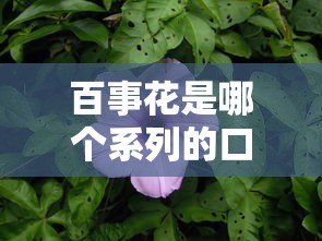 百事花是哪个系列的口子？解析平台背景与使用攻略