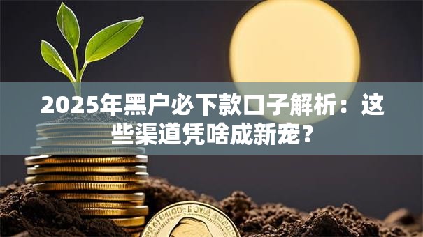 2025年黑户必下款口子解析:这些渠道凭啥成新宠? 2025年黑户必下款口子解析:这些渠道凭啥成新宠?