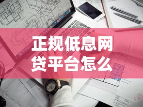正规低息网贷平台怎么选？实测推荐这几个靠谱平台