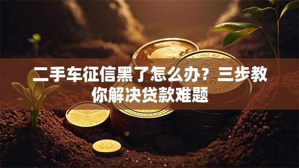 二手车征信黑了怎么办？三步教你解决贷款难题