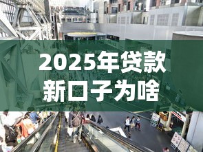 2025年贷款新口子为啥扎堆？三大底层逻辑说透行业趋势