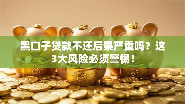 黑口子贷款不还后果严重吗？这3大风险必须警惕！