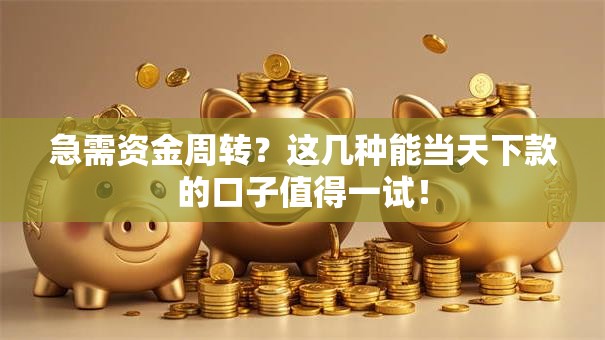 急需资金周转？这几种能当天下款的口子值得一试！