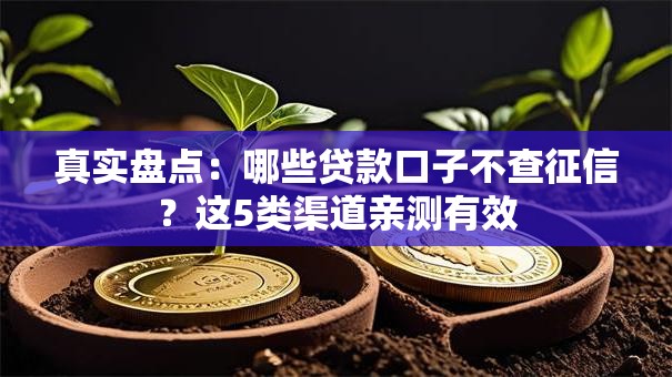 真实盘点：哪些贷款口子不查征信？这5类渠道亲测有效