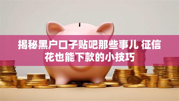 揭秘黑户口子贴吧那些事儿 征信花也能下款的小技巧