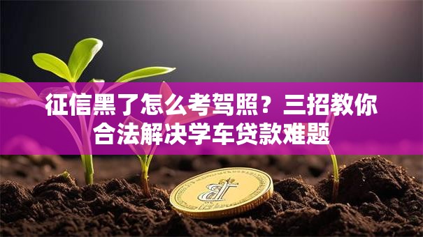 征信黑了怎么考驾照？三招教你合法解决学车贷款难题