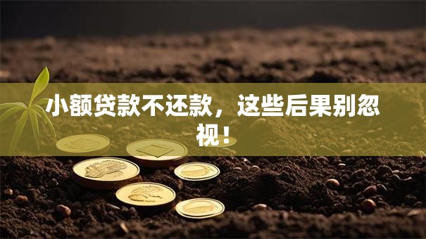 小额贷款不还款,这些后果别忽视! 小额贷款不还款,这些后果别忽视!