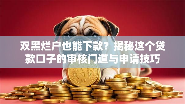 双黑烂户也能下款?揭秘这个贷款口子的审核门道与申请技巧 双黑烂户也能下款?揭秘这个贷款口子的审核门道与申请技巧