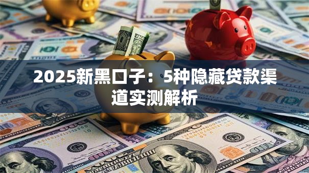 2025新黑口子：5种隐藏贷款渠道实测解析