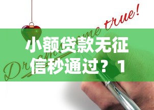 小额贷款无征信秒通过?18岁以上必看的申请真相 小额贷款无征信秒通过?18岁以上必看的申请真相