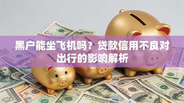 黑户能坐飞机吗?贷款信用不良对出行的影响解析 黑户能坐飞机吗?贷款信用不良对出行的影响解析