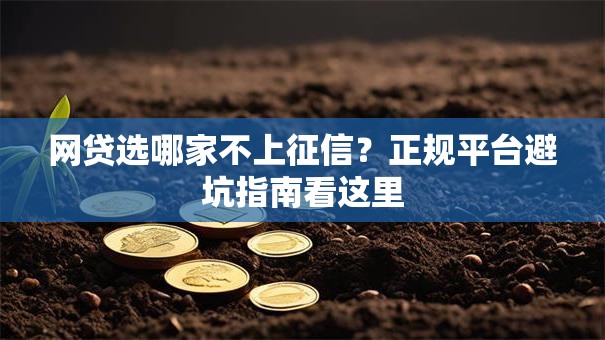 网贷选哪家不上征信?正规平台避坑指南看这里 网贷选哪家不上征信?正规平台避坑指南看这里