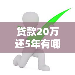贷款20万还5年有哪些好选择？这几种渠道优缺点全解析