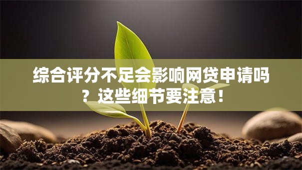综合评分不足会影响网贷申请吗?这些细节要注意! 综合评分不足会影响网贷申请吗?这些细节要注意!
