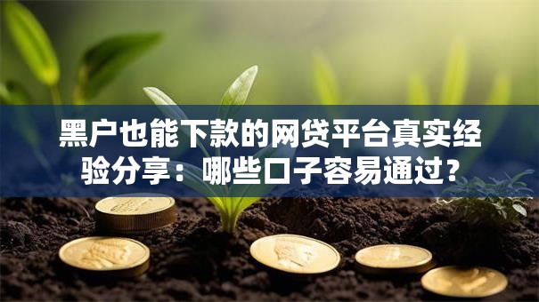 黑户也能下款的网贷平台真实经验分享：哪些口子容易通过？