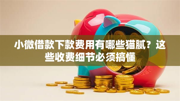 小微借款下款费用有哪些猫腻？这些收费细节必须搞懂