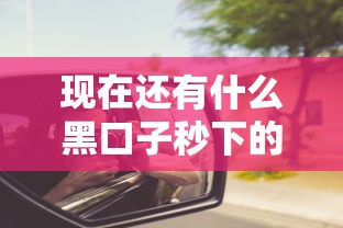 现在还有什么黑口子秒下的?这些渠道可能被你忽略了 现在还有什么黑口子秒下的?这些渠道可能被你忽略了