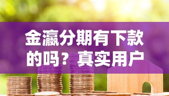 金瀛分期有下款的吗？真实用户案例深度解析