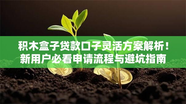 积木盒子贷款口子灵活方案解析！新用户必看申请流程与避坑指南