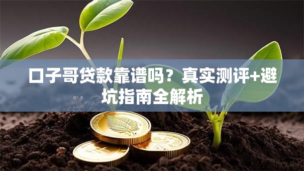 口子哥贷款靠谱吗？真实测评+避坑指南全解析