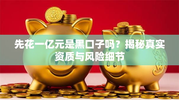 先花一亿元是黑口子吗？揭秘真实资质与风险细节