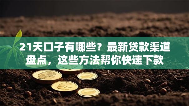 21天口子有哪些?最新贷款渠道盘点,这些方法帮你快速下款 21天口子有哪些?最新贷款渠道盘点,这些方法帮你快速下款